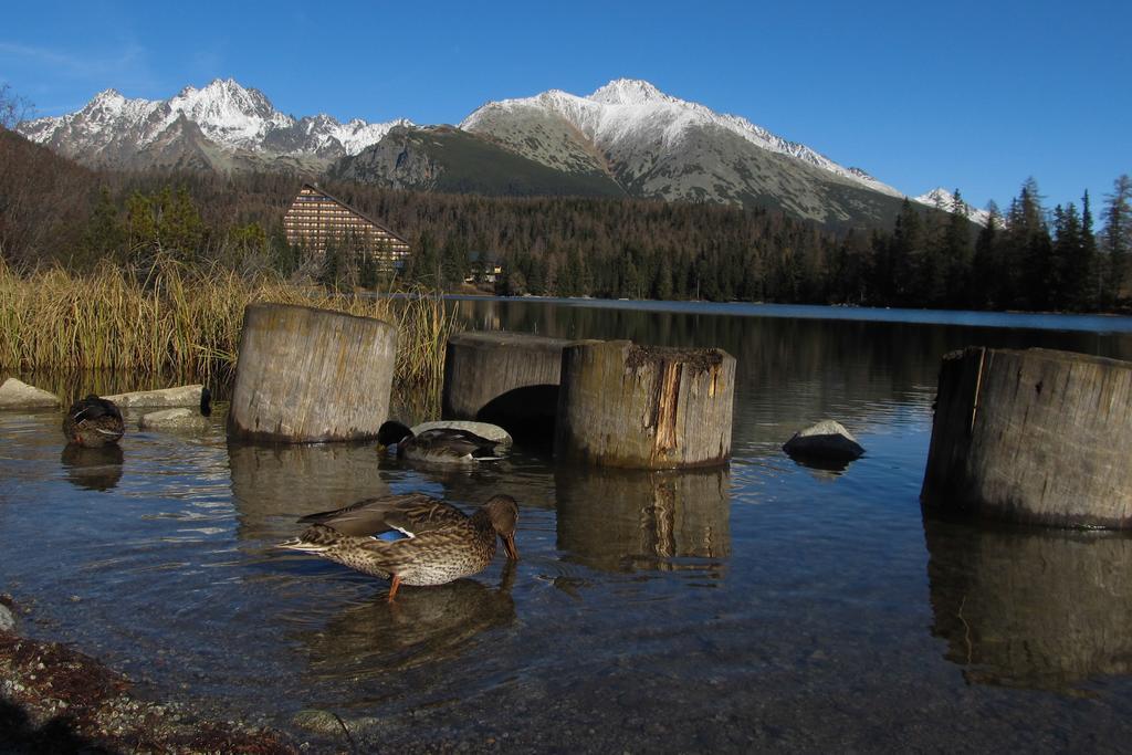 Apartman Strbske Pleso - Crocus 219 Zimmer foto